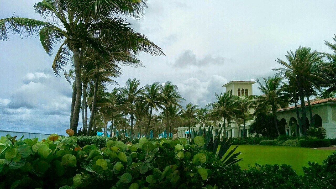 Mucuna Via Bethesda, Palm Beach, FL, US