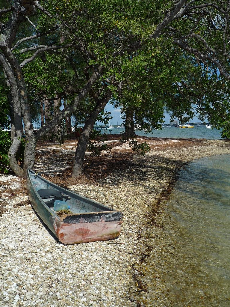 Row Boat at the Shore
