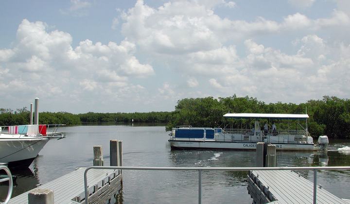 Ferry Docking at Caladesi Island