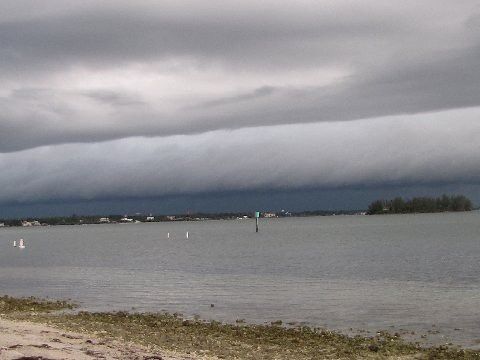 THE STORM