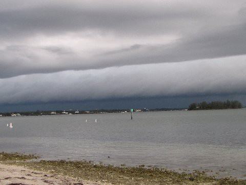 THE STORM