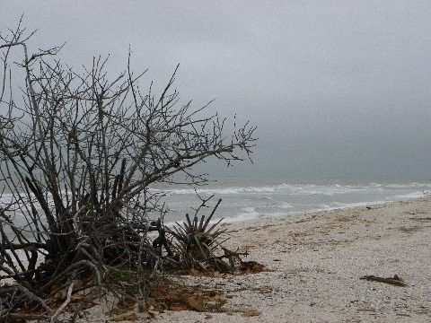 Gulf of Mexico stirred up from a storm
