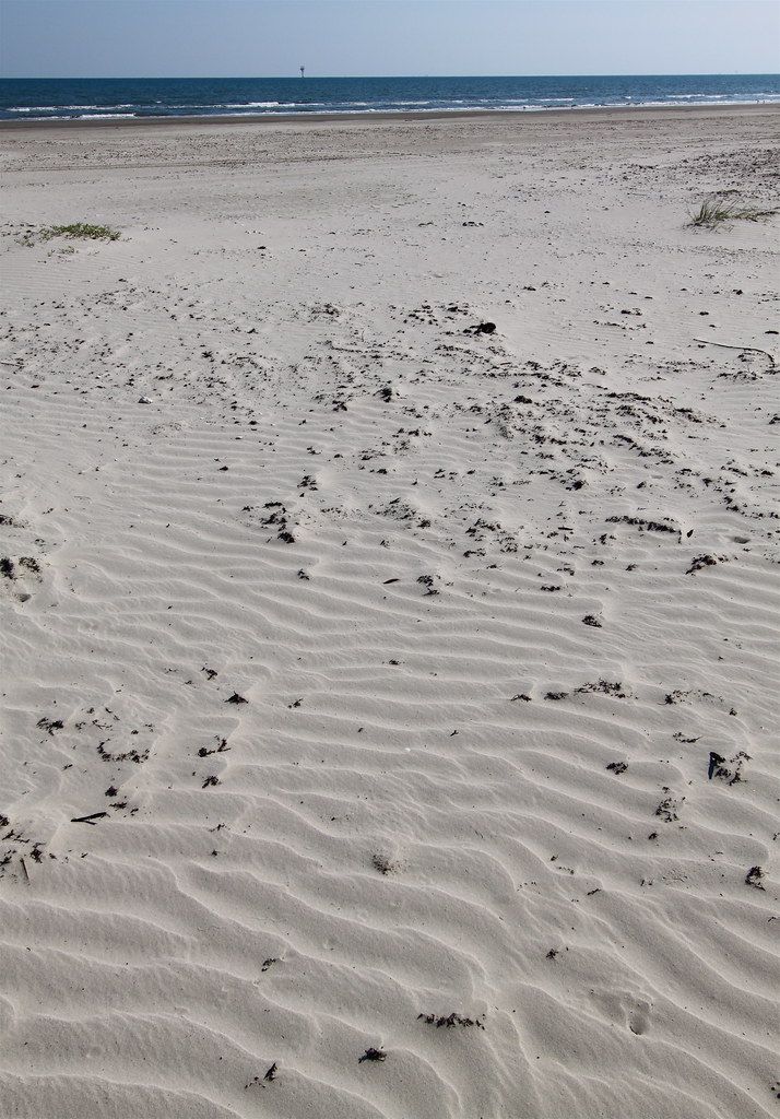 Wind ripples on a sandy beach