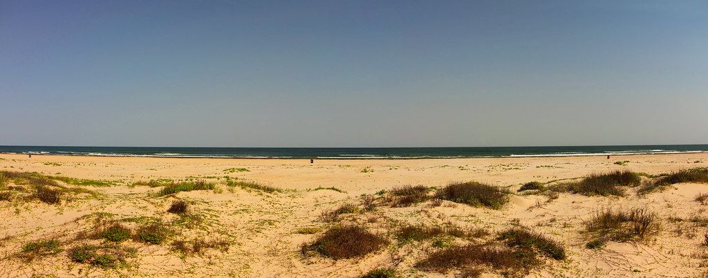 Seaward Walk