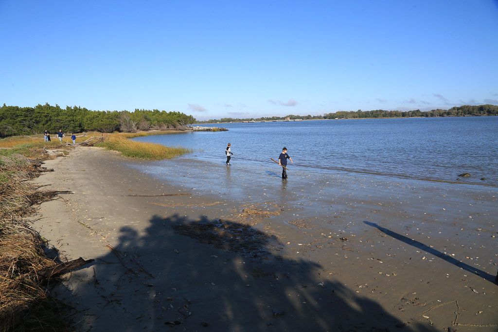 the Pack did a good turn beach clean up -   -076B1038