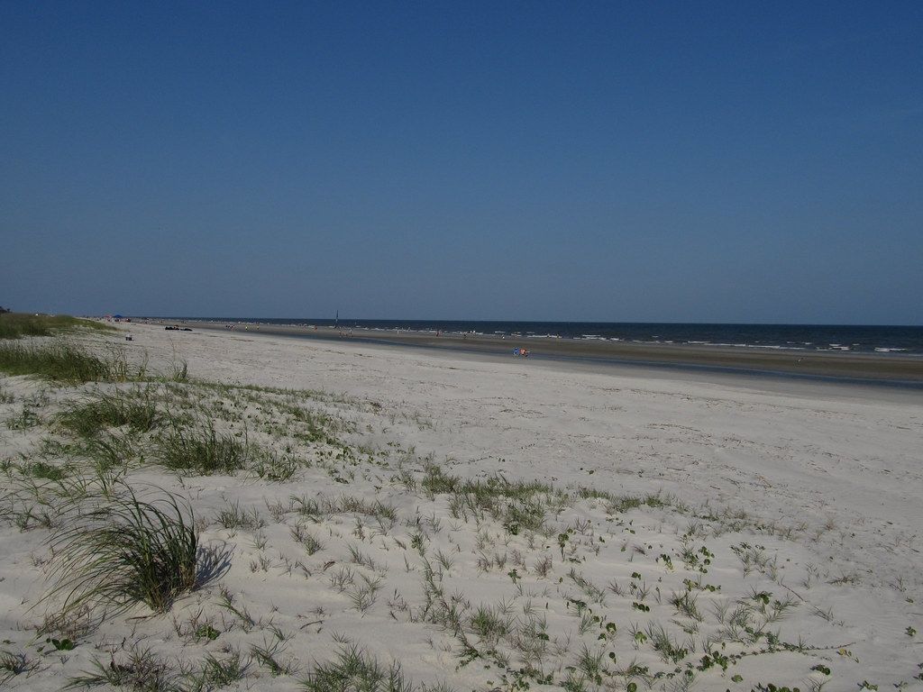 Forest Beach Near 13 Sea Oak Lane, Hilton Head Island, South Carolina