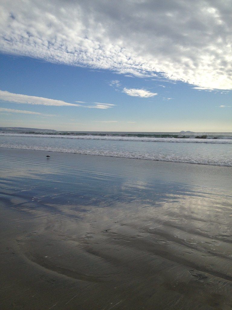 147/365 ~ Pink Beachcomber