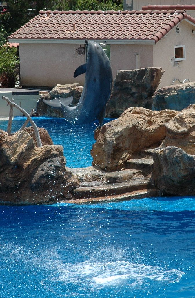 Dolphin Discovery Stadium