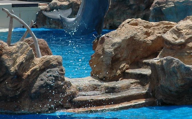Dolphin Discovery Stadium