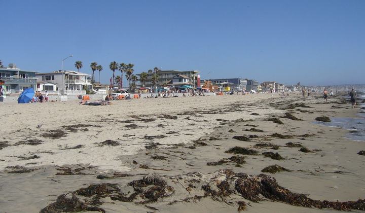Pacific Beach