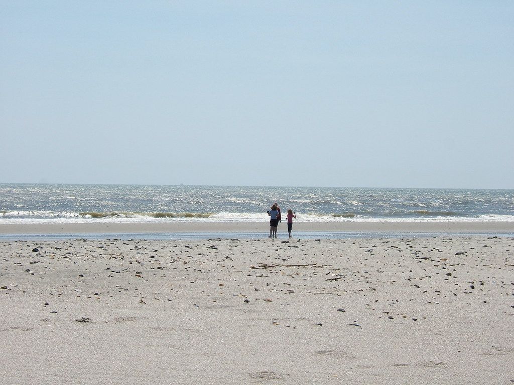 Poodles on the Beach