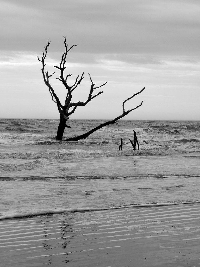 Dr. Chu on Boneyard Beach Bull Island SC