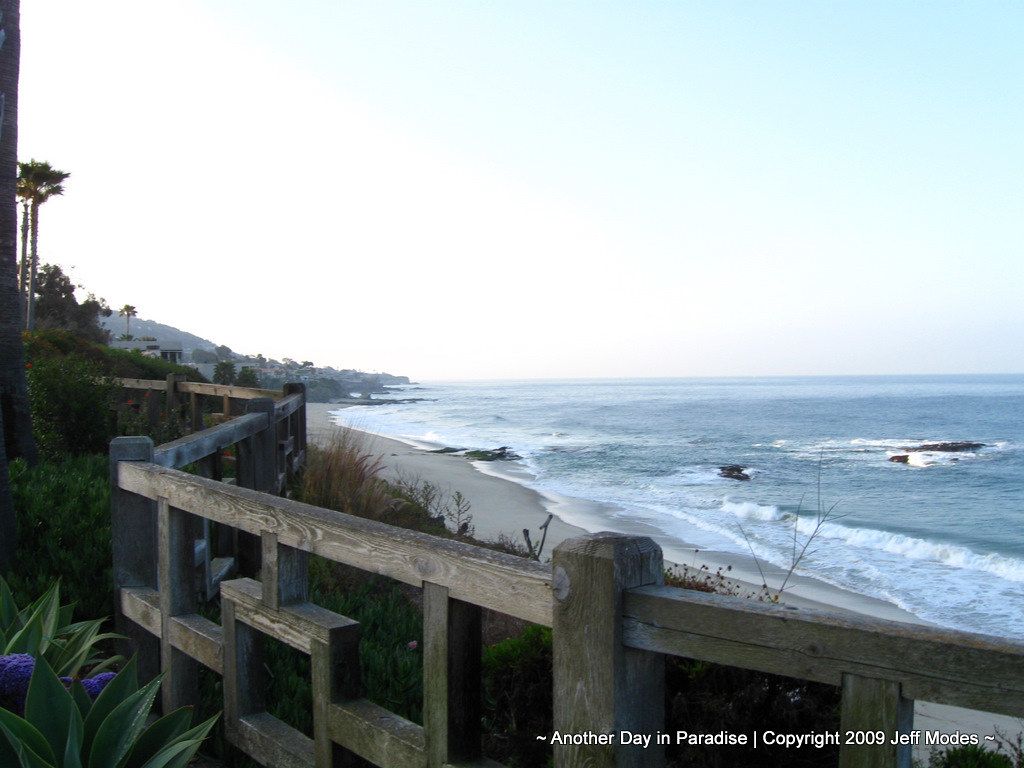 Pagurus samuelis Coast-Wesley, Laguna Beach, CA 92651, USA