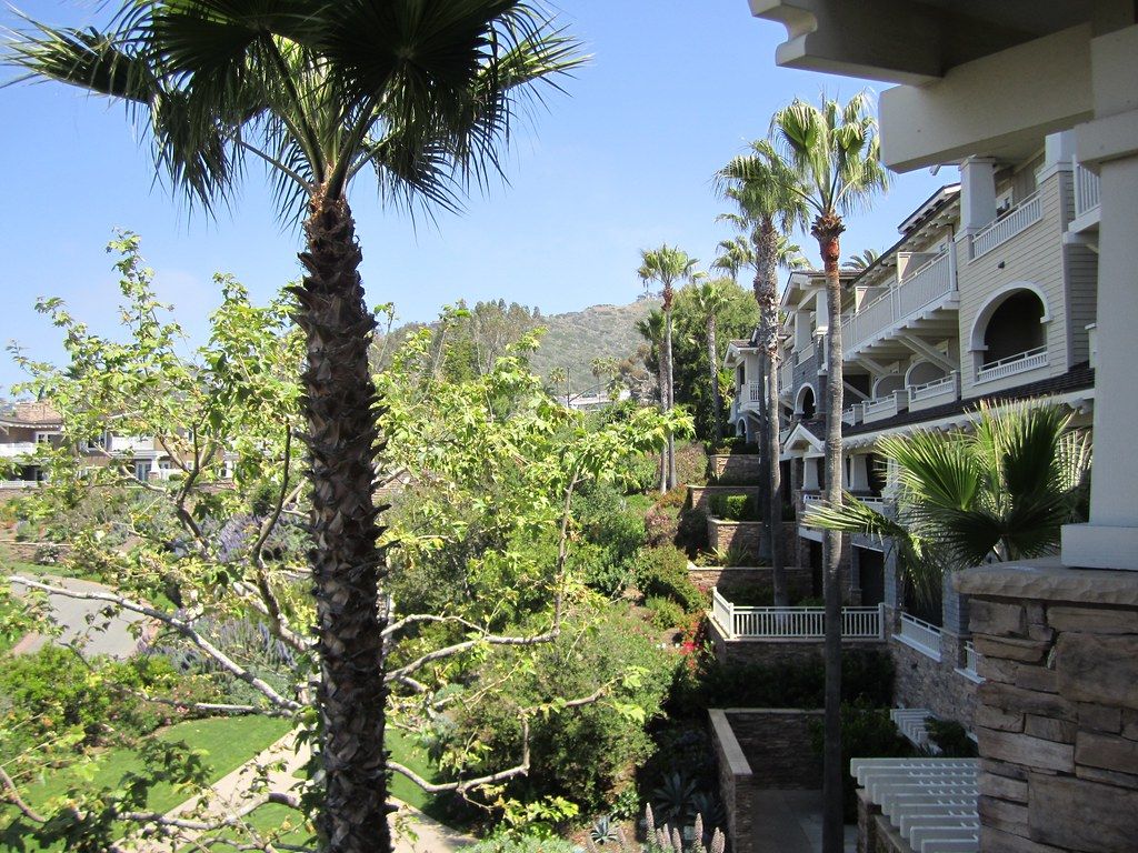 Paris Daisy 30804 South Pacific Coast Highway, Laguna Beach, CA 92651, United States