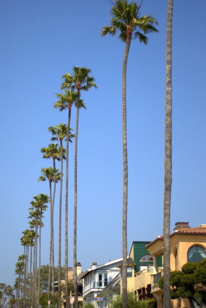 La Californie du Sud