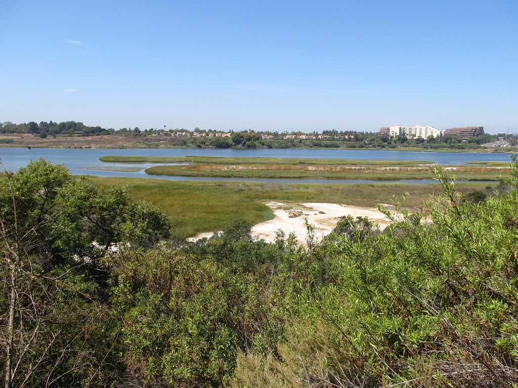 Upper Newport Bay, Newport Beach, California
