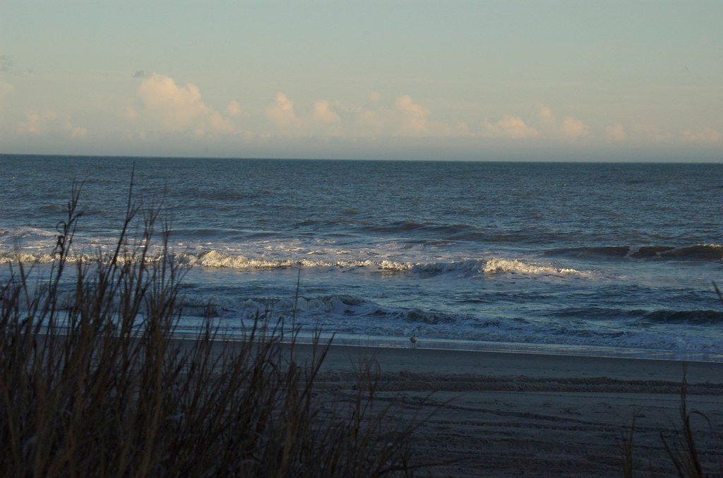 Slow walk down the beach