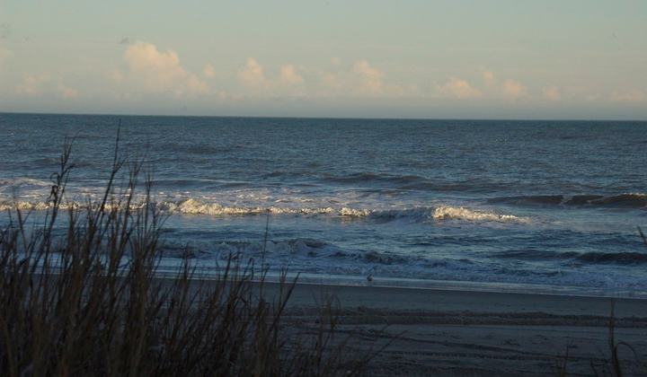Slow walk down the beach