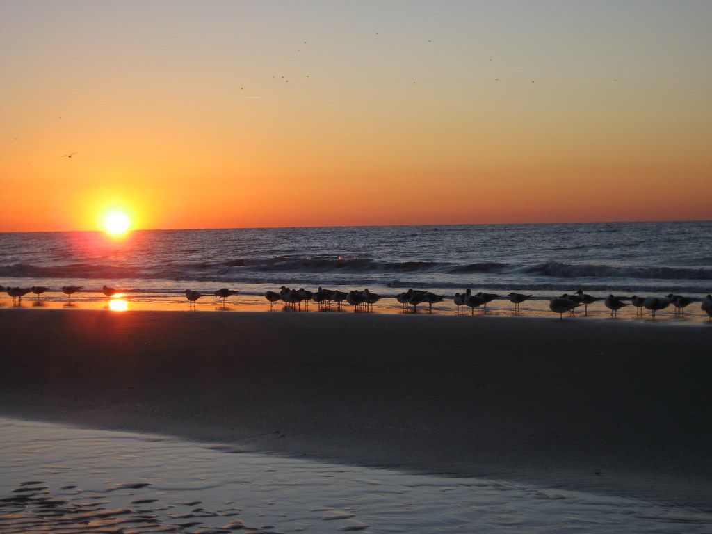 The Grande Shores Resort