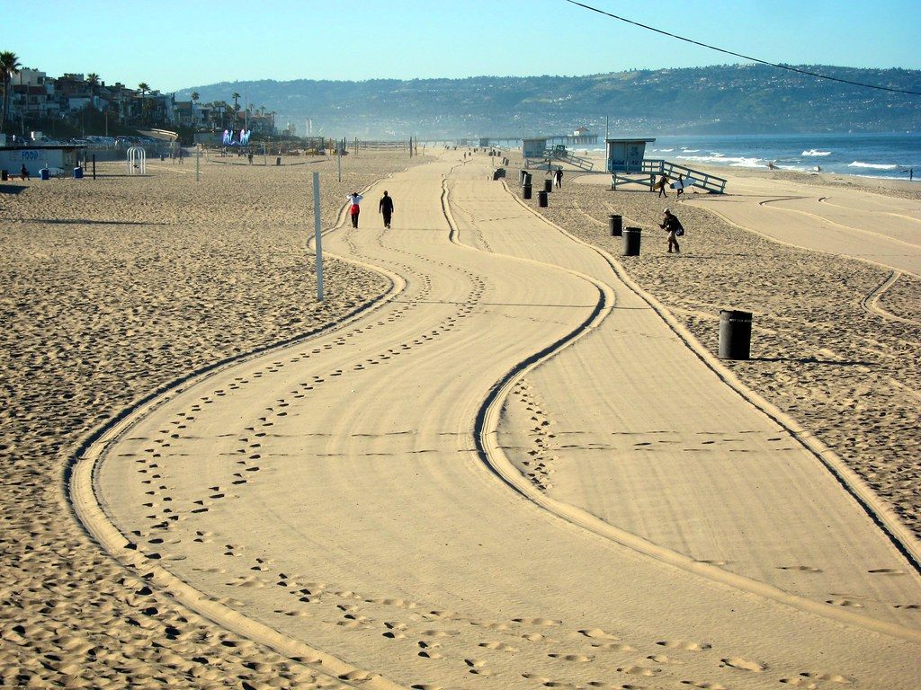 Pacific Gaper El Porto Beach, Manhattan Beach, CA, US