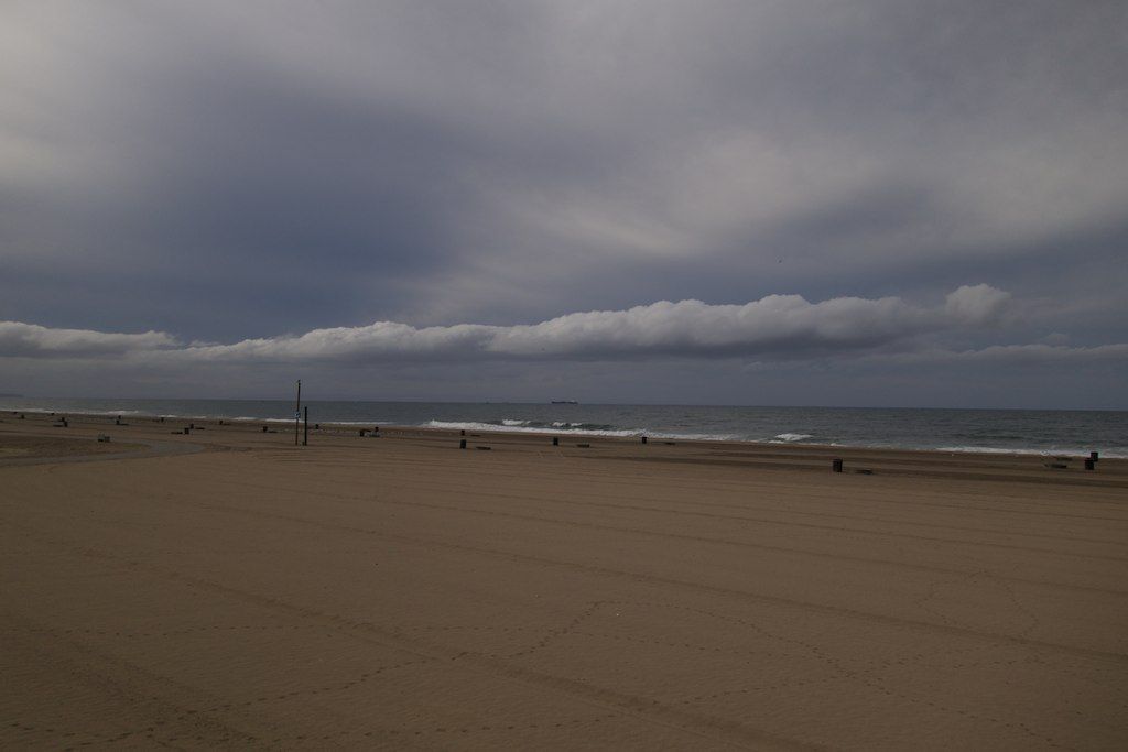 Windy beach morning