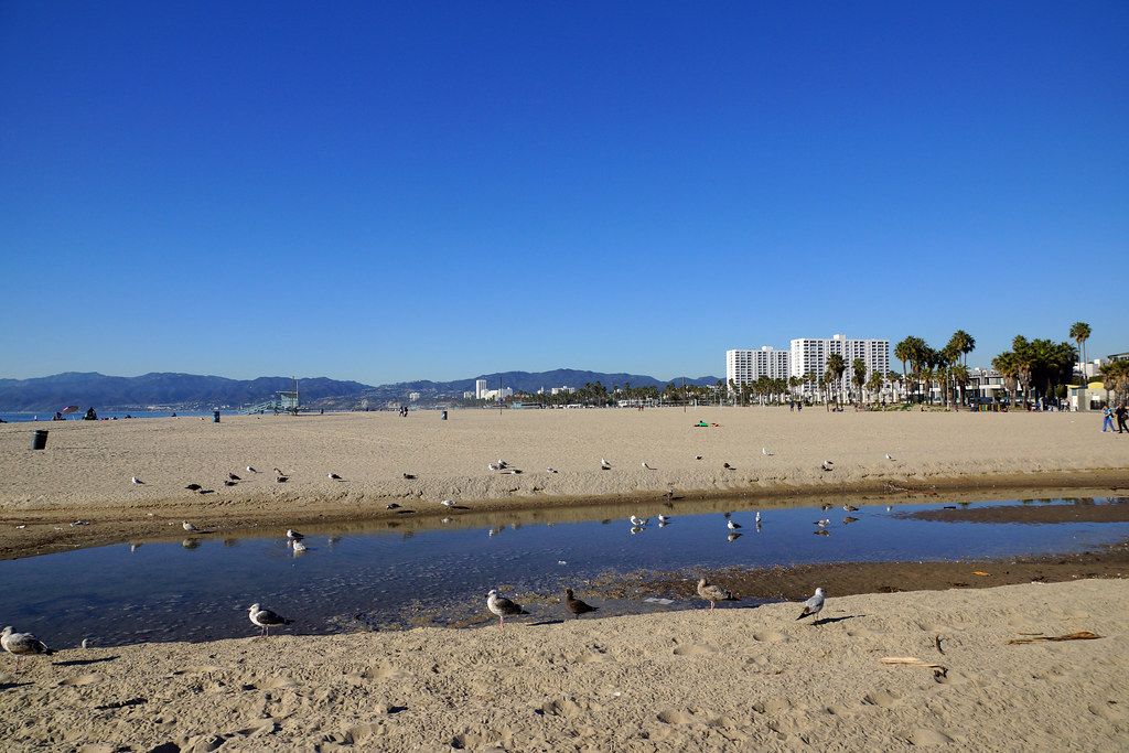 Venice Beach June