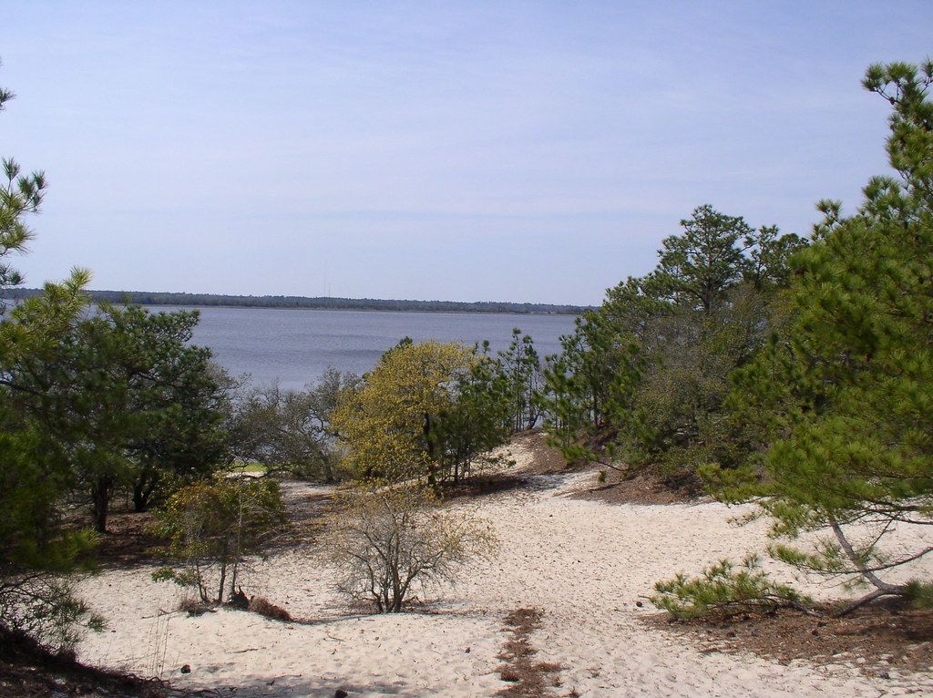 Sugarloaf Dune