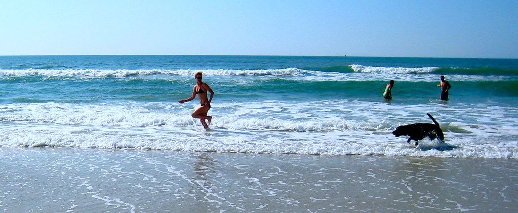 doracy-bonzer-fetch-007-crop