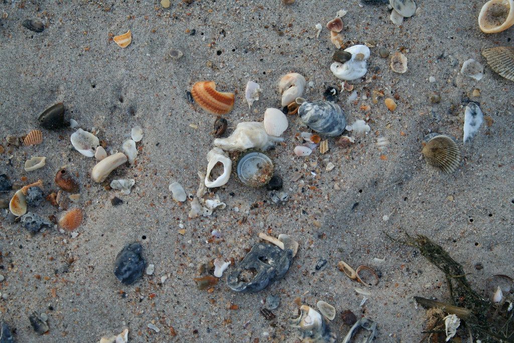 Sand robot