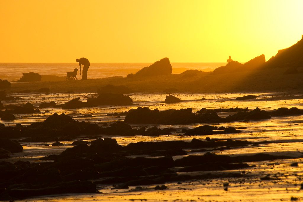 Time and Tide
