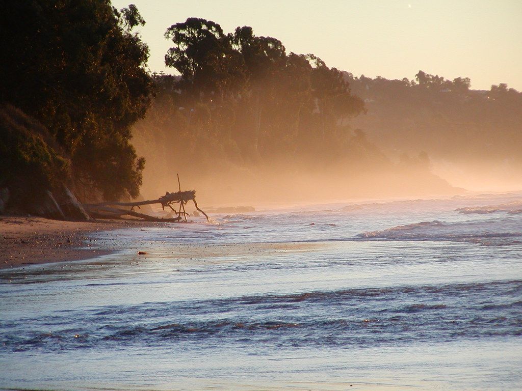 Misty Morning Shores