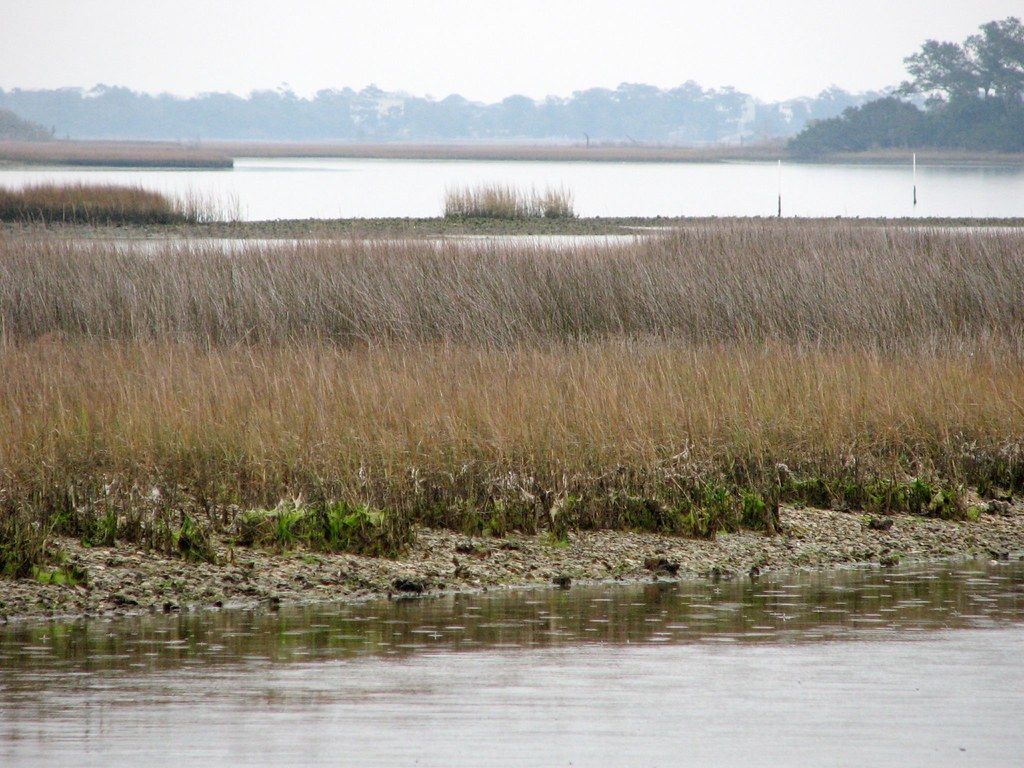 Bay Water Hammocks Beach SP NC