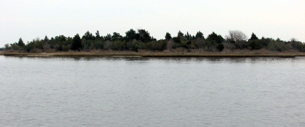 View from Marsh Cruise Hammocks Beach SP NC