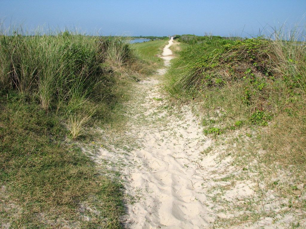 Salt Flats Trail Pea Island Wildlife Refuge OBX NC