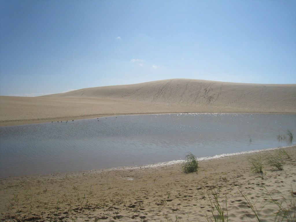 Jockey's Ridge State Park