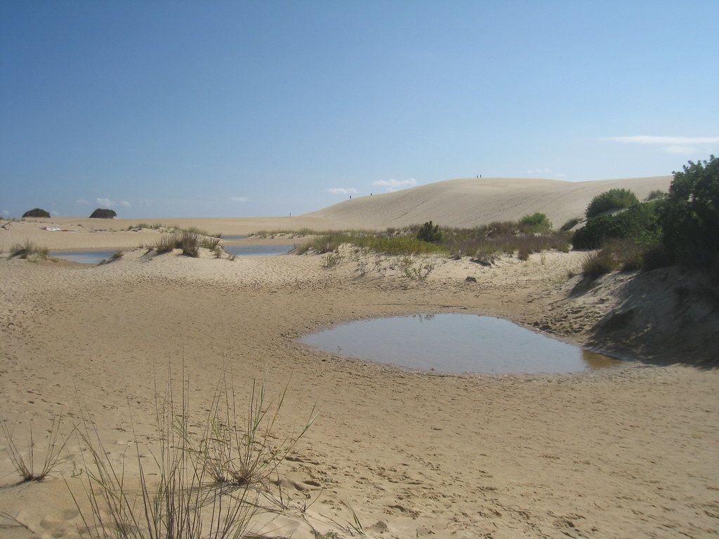 Jockey's Ridge State Park