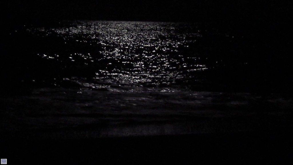 Moonlight over the Atlantic Kill Devil Hills NCMVI_0496