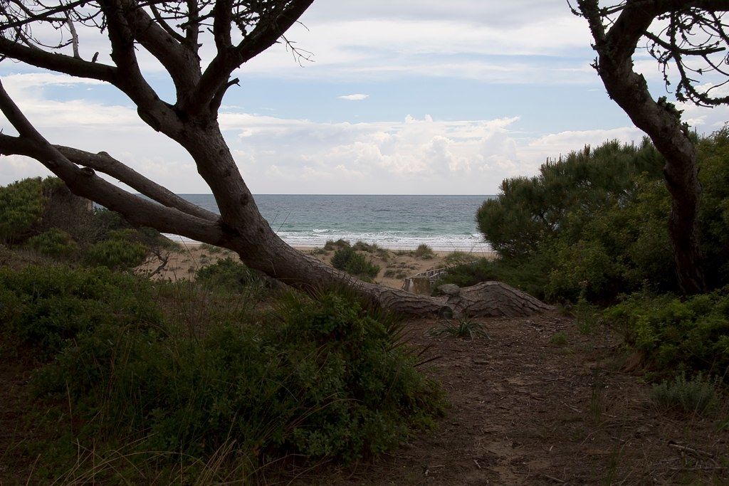 La Barrosa