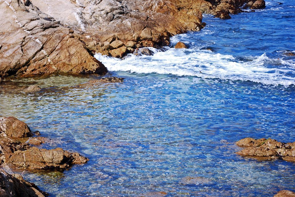 Carmel Bay_2011 10 16_0223