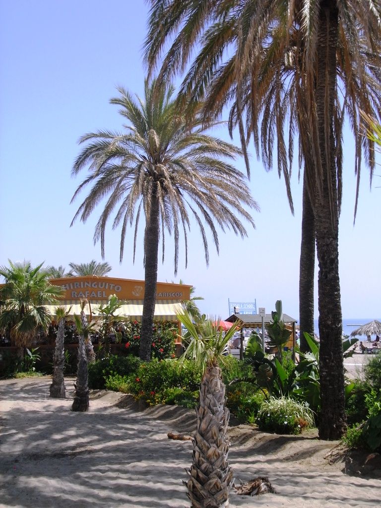 La Playa de Benalmádena con Torremolinos