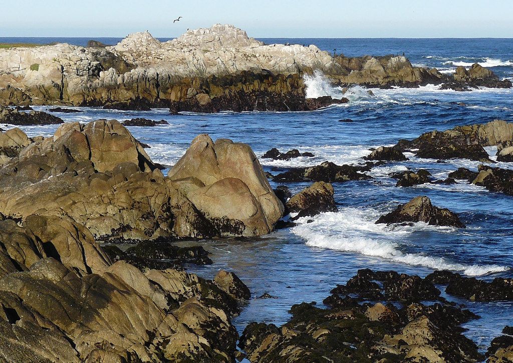 Asilomar State Beach - Calif.