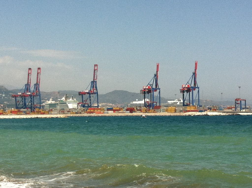 Malaga Fish on Beach May 2011- -