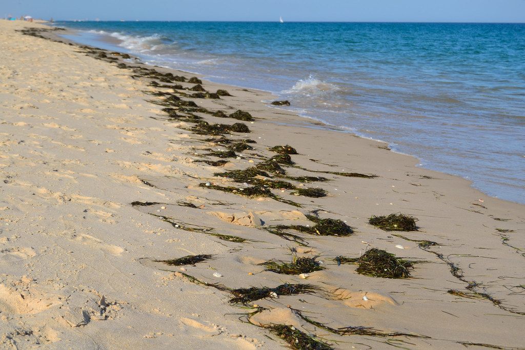Praia do Barril, Tavira, Algarve