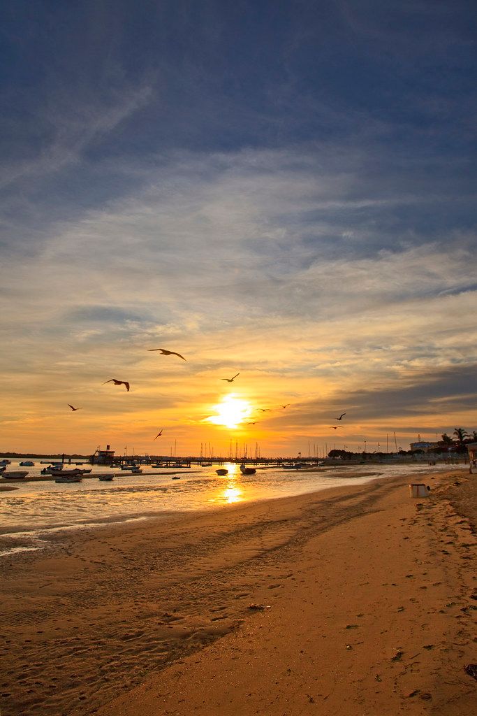 El Rompido. My friend. Huelva. Andalusia. Spain