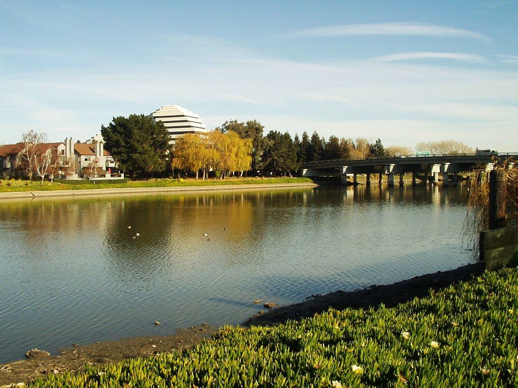 Norfolk in San Mateo