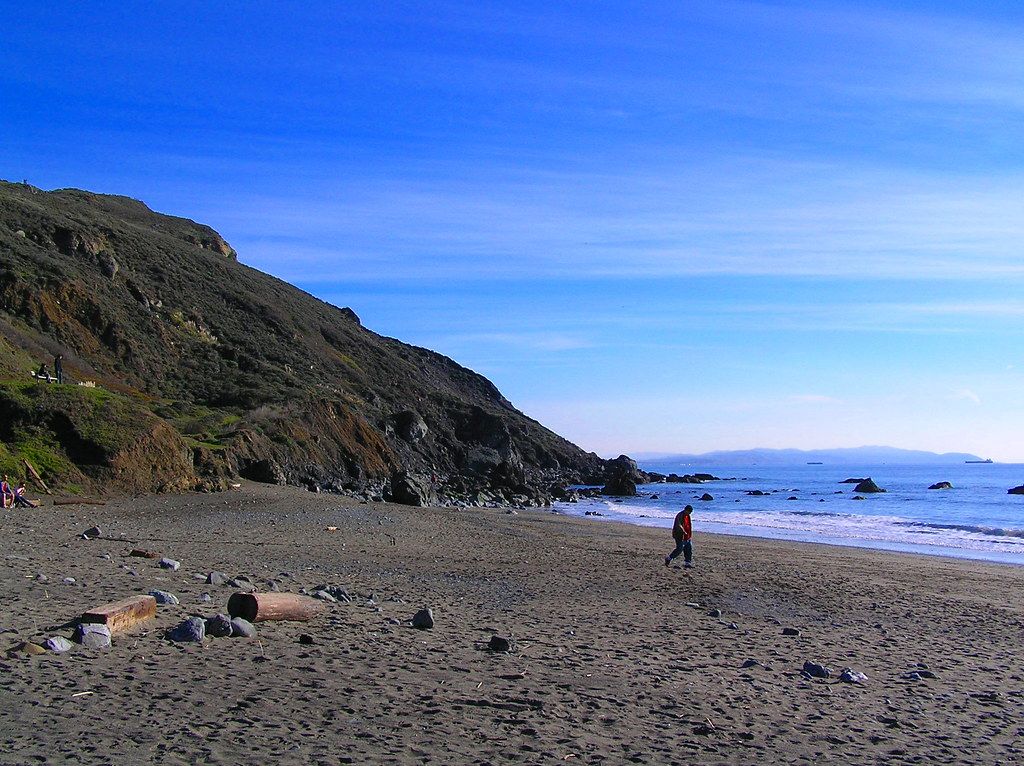 Muir Woods Beach