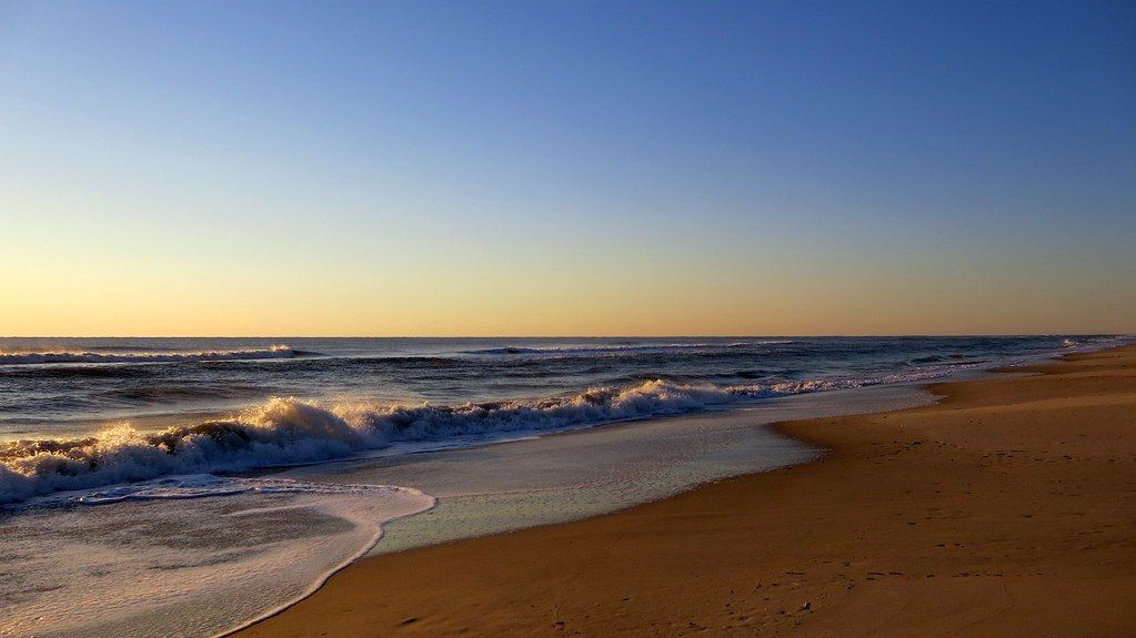 Assateague Island Trip - Beach