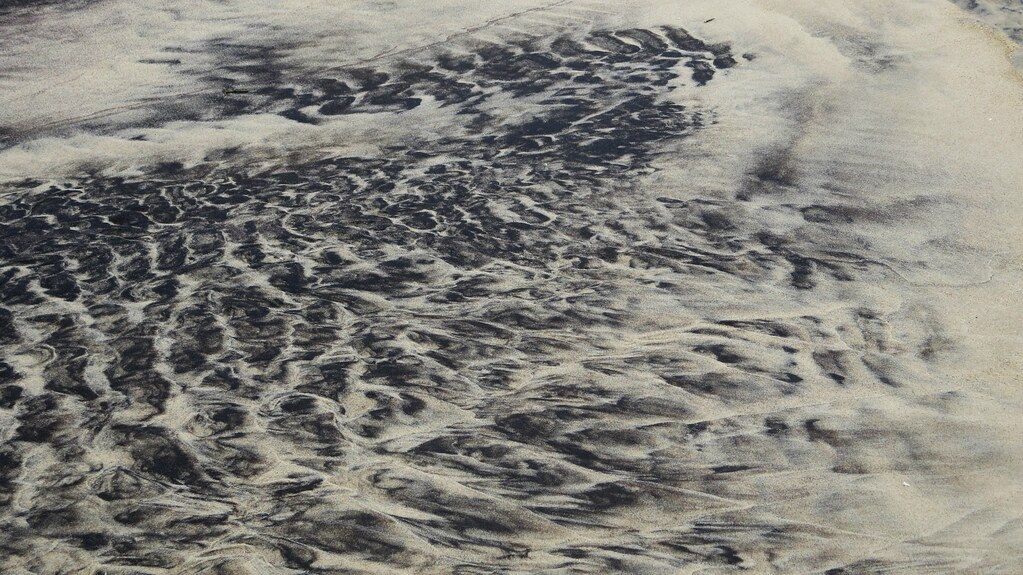 Assateague Island Trip - Sand Patterns
