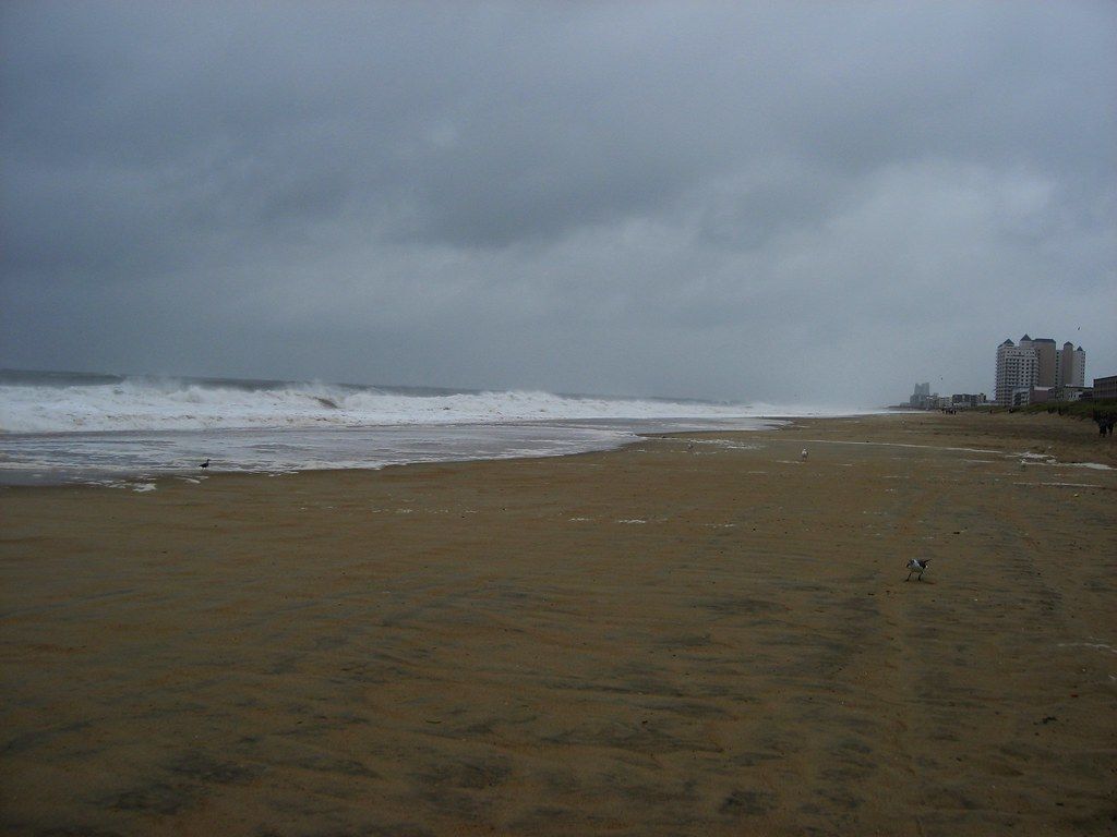 Ocean City Beach Macro
