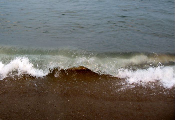 497 dune crossing